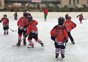 Utakmica u Karlovcu 24.01.2015.