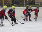 Utakmica u Karlovcu 24.01.2015.