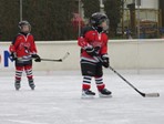 Utakmica u Karlovcu 24.01.2015.