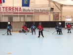 Prva utakmica na rolama za male Srake