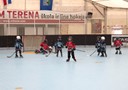 Prva utakmica na rolama za male Srake