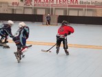 Prva utakmica na rolama za male Srake