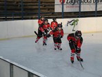Trening u Sisku (20.02.2015.)
