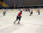 Srake seniori vs. Tapiri u Domu Sportova u Zagrebu
