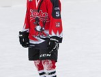 Portret ledene ekipe 2014/2015 u Samoboru