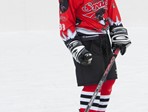 Portret ledene ekipe 2014/2015 u Samoboru