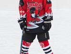 Portret ledene ekipe 2014/2015 u Samoboru