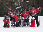 Portret ledene ekipe 2014/2015 u Samoboru